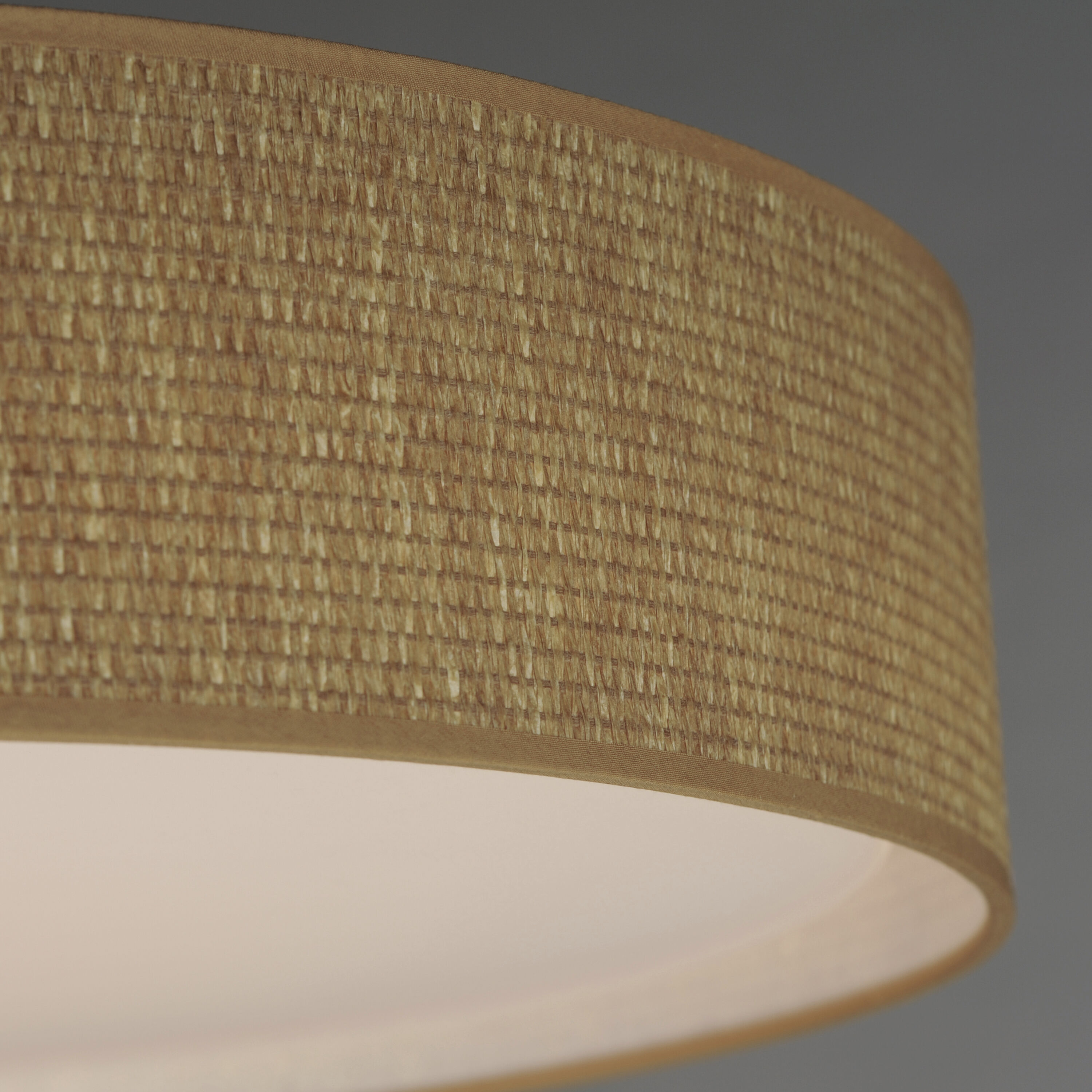 Prime LED 25 inch Flush Mount Ceiling Light