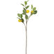 Lemon Spray Green and Yellow Botanical