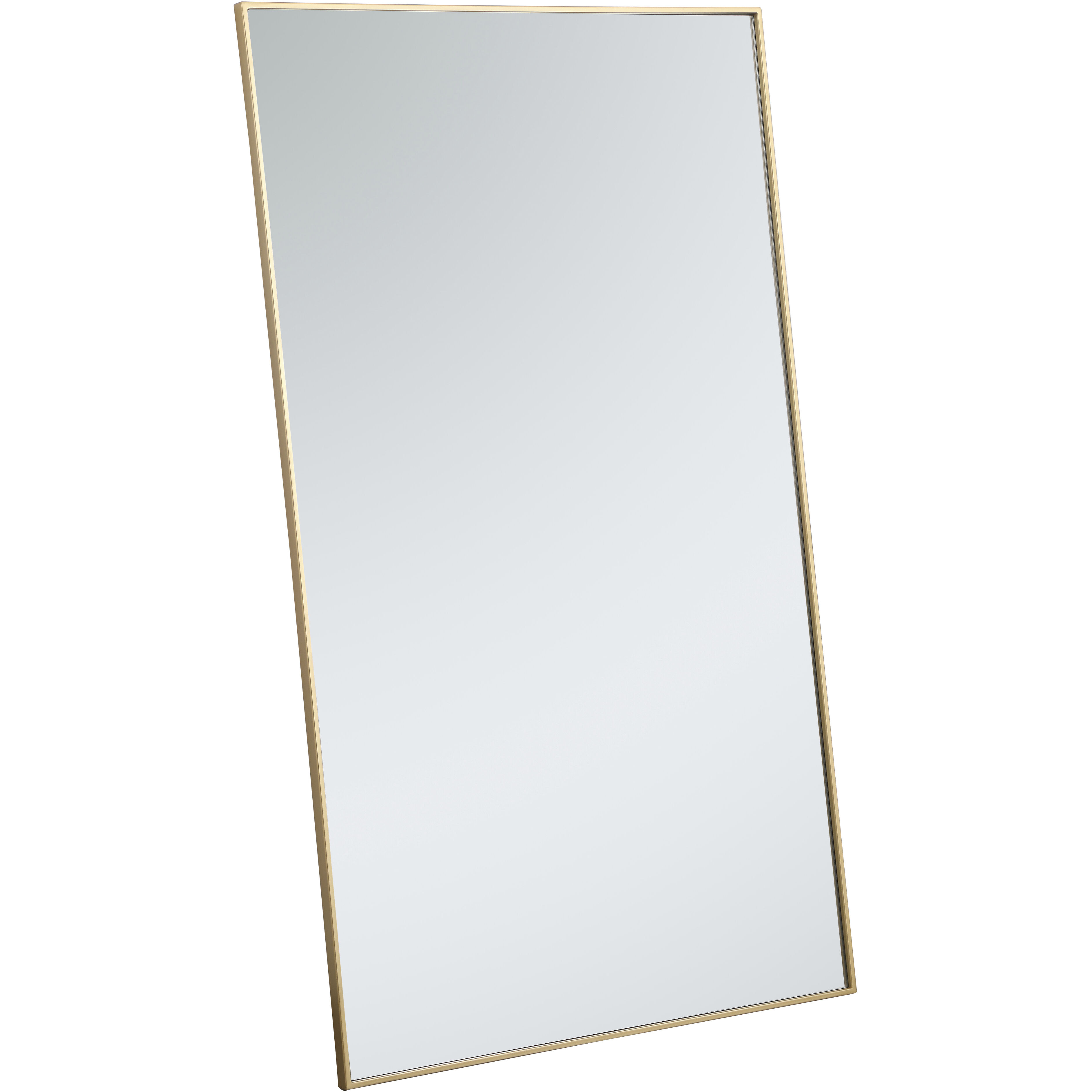 Monet 60 X 36 inch Brass Wall Mirror