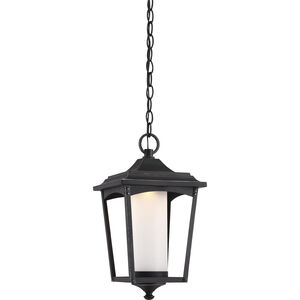 Essex LED 8 inch Sterling Black Outdoor Hanging Lantern