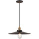 Bulstrode's Workshop 1 Light 14 inch Aged Gold Brass Pendant Ceiling Light in Aged Gold Brass and Black