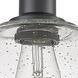 Edison Bristol Glass 1 Light 9 inch Matte Black Semi-Flush Mount Ceiling Light in Seedy Glass