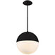 Punk LED 14 inch Black Pendant Ceiling Light in 3000K, 14in.