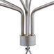 New Traditional 6 Light Sand Dollar and Silver Chandelier Ceiling Light