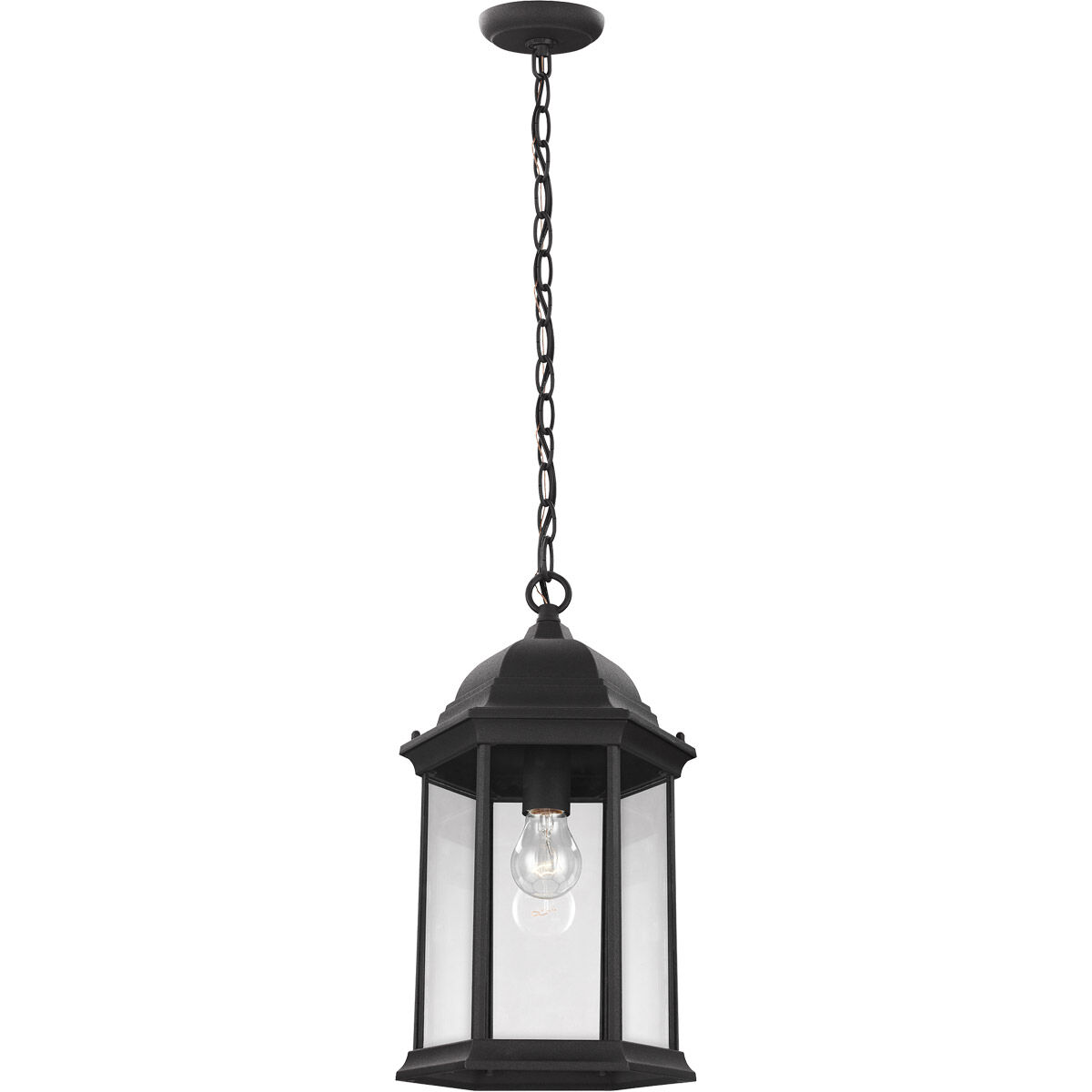 Sevier 1 Light 9.38 inch Black Outdoor Pendant