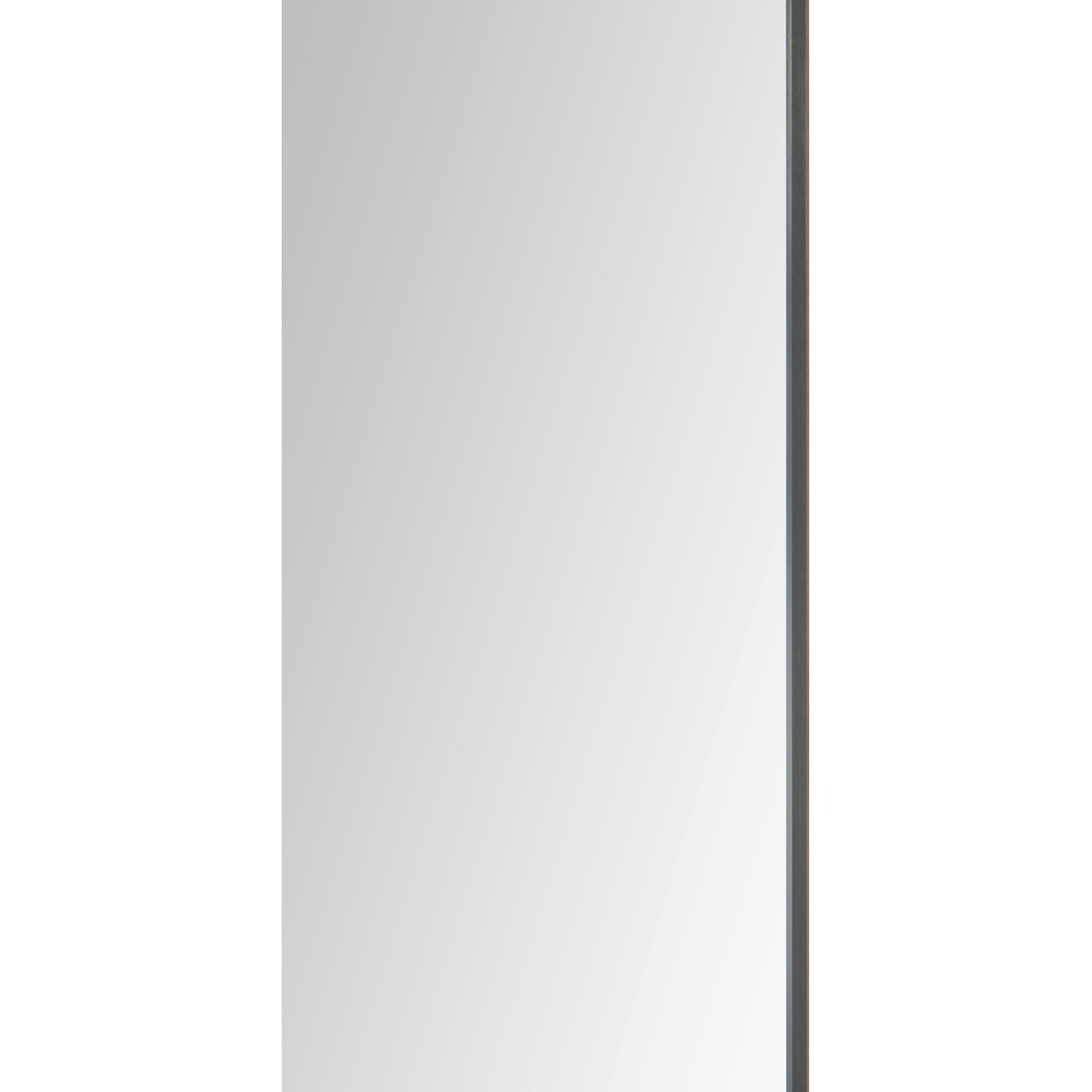 Salta 40 X 26 inch Clear Mirror