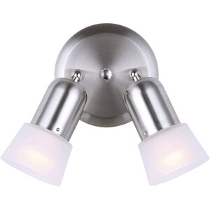 Omni 2 Light 13 inch Brushed Pewter Ceiling/Wall Light Ceiling Light