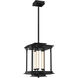 Athena LED 12.1 inch Ink Pendant Lantern Ceiling Light