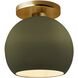 Radiance 1 Light 10 inch Matte Green and Brushed Brass Semi Flush Ceiling Light