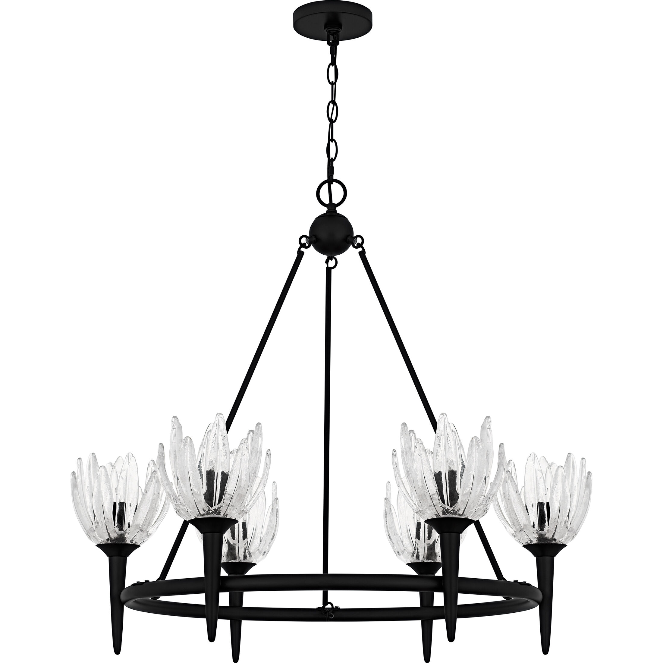 Shea 6 Light 31 inch Matte Black Chandelier Ceiling Light