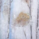 Cameron Brown/White Wall Art
