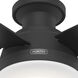 Dempsey 44 inch Matte Black with Matte Black/Dark Gray Oak Blades Ceiling Fan