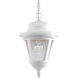 Westport 1 Light 9 inch White Outdoor Hanging Lantern in Bulbs Not Included, Clear Seeded