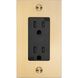 1G Duplex 125 Brass Outlet