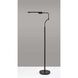Zane 56.5 inch 10.00 watt Black Floor Lamp Portable Light, with Smart Switch