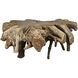 Teak Root Clear Coat Semi - Multilayered Coffee Table