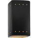 Ambiance 1 Light 9.5 inch Carbon Matte Black and Champagne Gold Outdoor Wall Sconce in Incandescent, Carbon Matte Black/Champange Gold