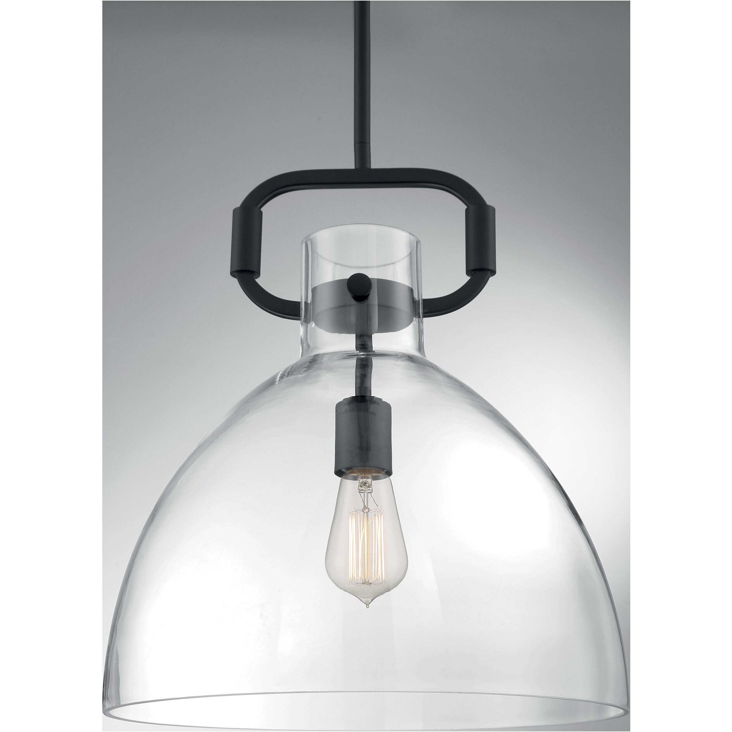 Teresa 1 Light 14 inch Matte Black Pendant Ceiling Light