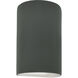 Ambiance LED 9.5 inch Pewter Green Outdoor Wall Sconce in 1000 Lm LED
