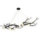 CC Series 15 Light 32.5 inch Black Chandelier Ceiling Light