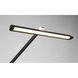Portables 55.5 inch 10.00 watt Coal Floor Lamp Portable Light