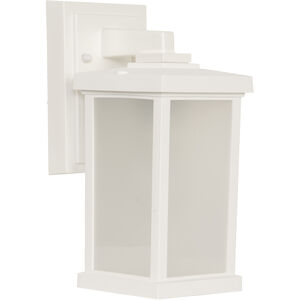 Resilience Lantern 1 Light 5.00 inch Outdoor Wall Light