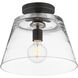 Hudson 1 Light 12 inch Black Single Pendant Ceiling Light in Clear