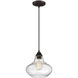 Industrial 1 Light 10 inch Oil Rubbed Bronze Mini-Pendant Ceiling Light