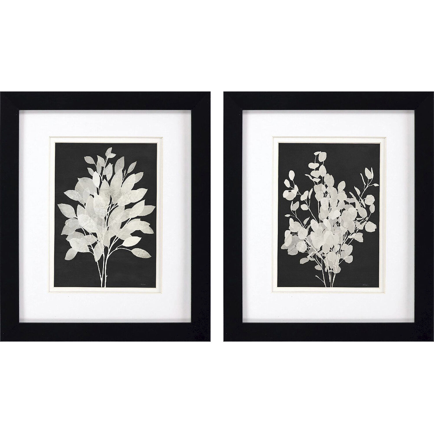 Florals Black and White Framed Art, Propac