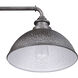 Englewood 1 Light 10 inch Antique Pewter Outdoor Wall Lantern, Medium