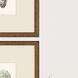 Naturals Collection Neutral Framed Art