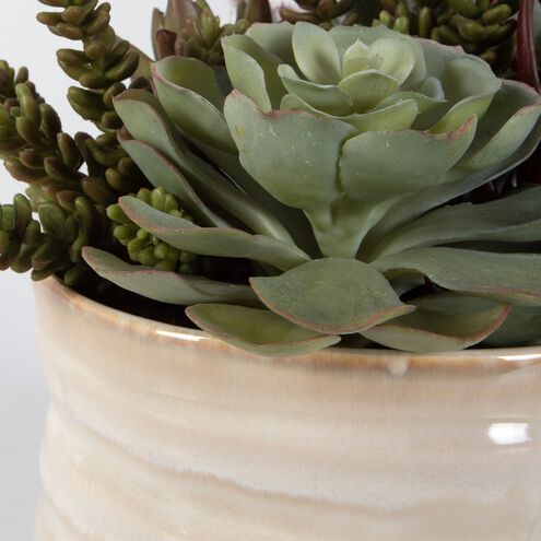 Mesa Succulent Green with Textured Tan Glaze Succulent Accent