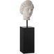 Venus Head on Stand 12.5 X 3.5 inch Sculptures, Set of 2