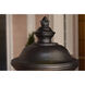 Carriage House VX 2 Light 12 inch Oriental Bronze Outdoor Ceiling Mount