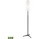 Matthias 65 inch 9.00 watt Matte Black Floor Lamp Portable Light