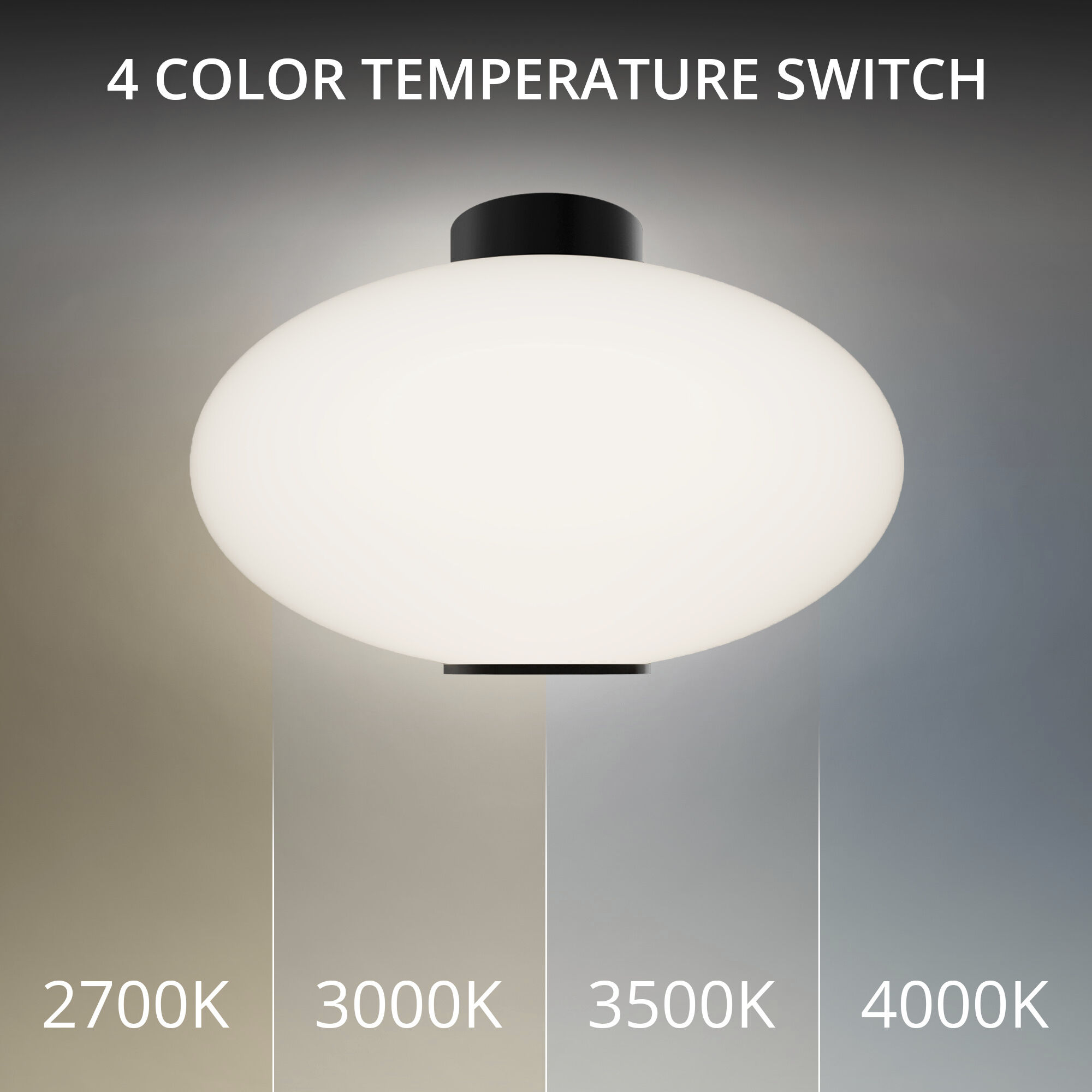 Illusion LED 22.1 inch Black Indoor Ceiling Lighting in 2700K
