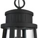 Dunham 1 Light 9.75 inch Earth Black Outdoor Hanging Lantern