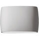 Ambiance Collection LED 9.75 inch Bisque Outdoor Wall Sconce