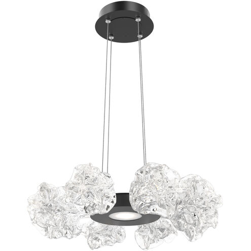 Blossom LED 23.9 inch Matte Black Chandelier Ceiling Light in 2700K LED, Radial Ring