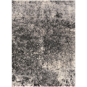 Amadeo 43 X 24 inch Rugs, Rectangle