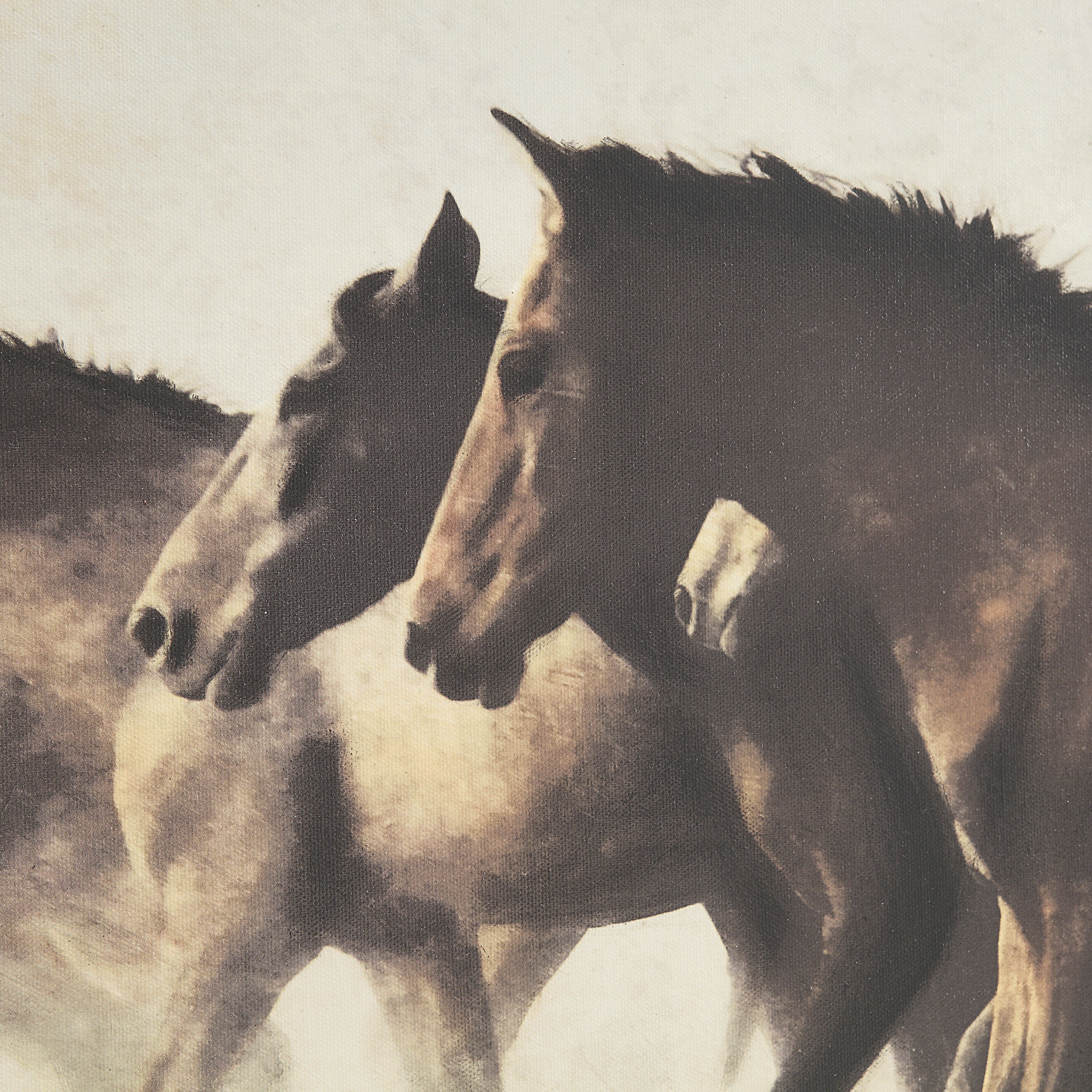 Ares Beige/Brown/Black Canvas Art