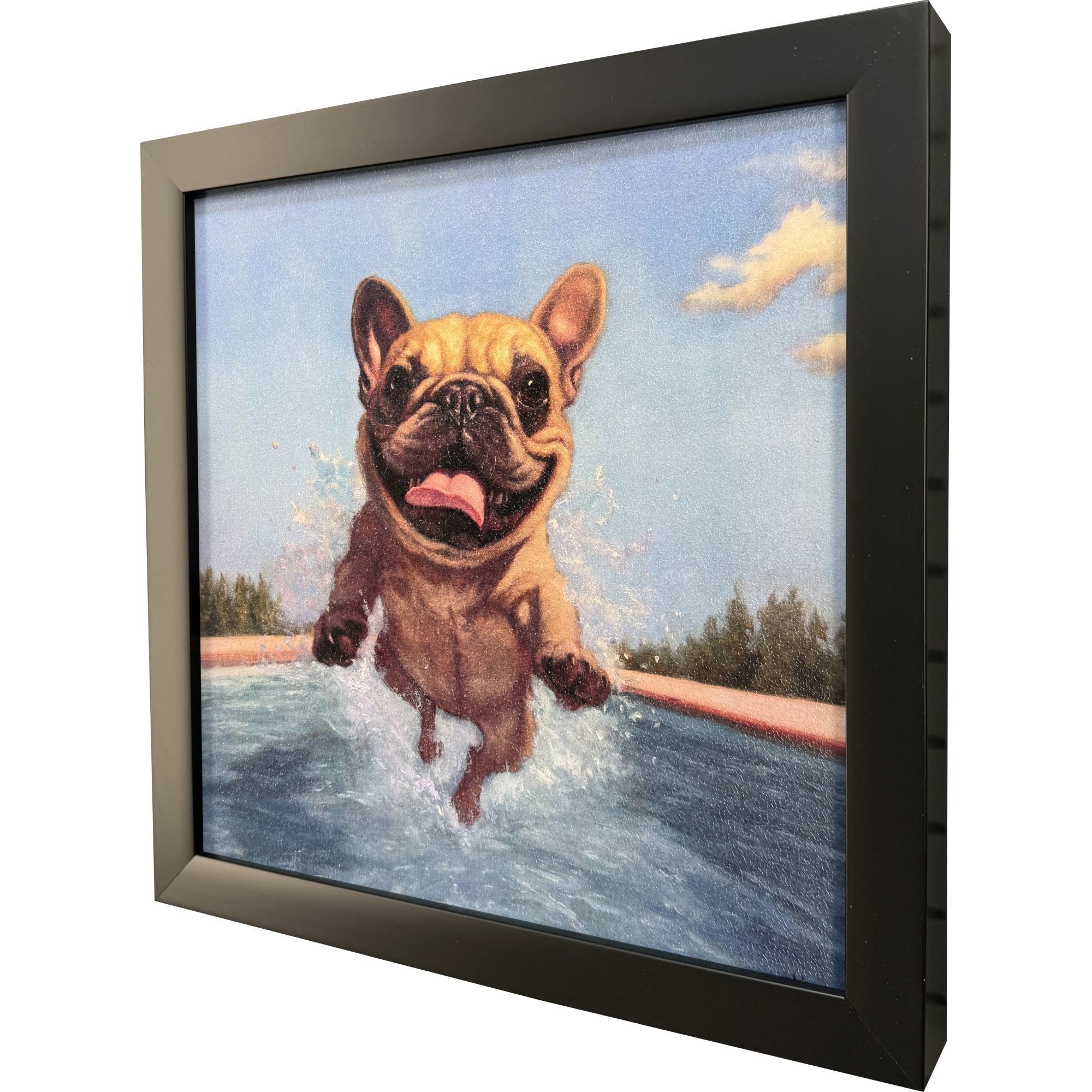 Summer Splash 11 X 11 inch Non-Glass Framed Art, Propac