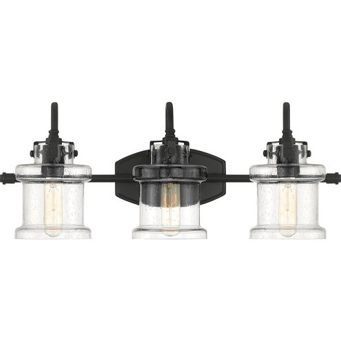 Danbury 3 Light 24 inch Earth Black Bath Light Wall Light