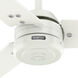 Cassius 60 inch Fresh White with Light Stripe/Fresh White Blades Outdoor Ceiling Fan