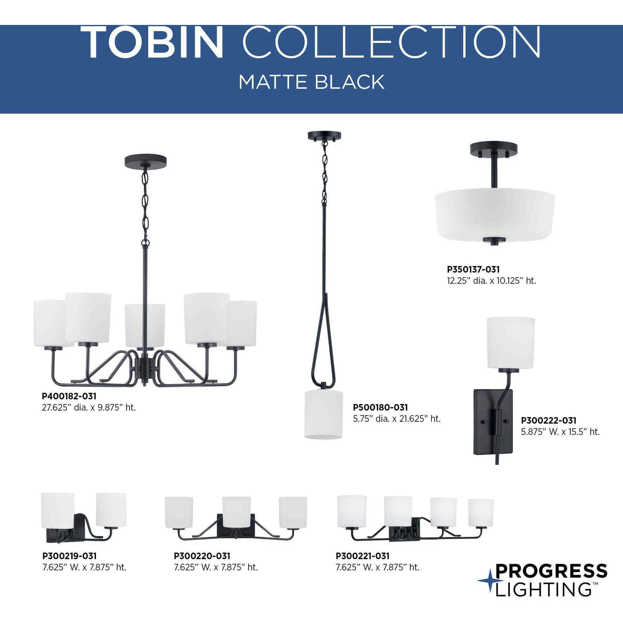 Tobin 2 Light 12 inch Matte Black Semi-Flush Mount Convertible Ceiling Light