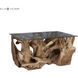 Teak Root 36 X 24 inch Natural with Clear Coffee Table