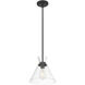 Amarella 1 Light 10 inch Matte Black Pendant Ceiling Light