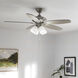 Renew Premier 52 inch Brushed Stainless Steel with Silver Blades Ceiling Fan