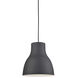 Cradle 1 Light 13 inch Black Pendant Ceiling Light