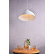 Circa 1 Light 15.5 inch White Pendant Ceiling Light
